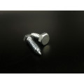 Wood Screw Hex Bolt Flat Head Screw Fastener